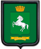 Герб Томска 35х43 см, печатный, темная рамка, большая форма