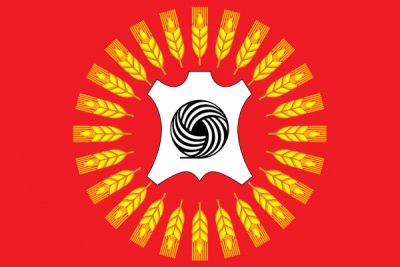 Флаг Рассказова 90х135 см