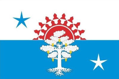 Флаг Серова 90х135 см